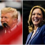 Kamala Harris Leads Trump Among Early Voters, New Poll Shows
