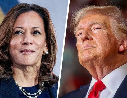Did Kamala Harris' Nomination Help Trump?